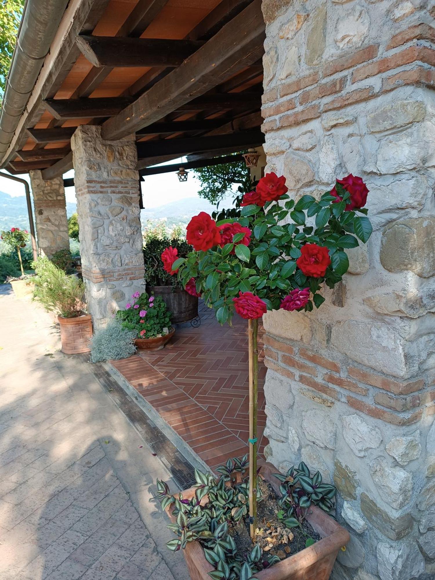 Santa Lucia B&B Caiazzo Esterno foto